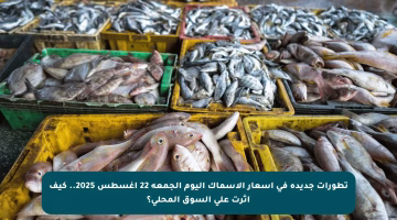 تطورات جديدة في أسعار الأسماك اليوم الجمعة 22 أغسطس 2025.. كيف أثرت على السوق المحلي؟